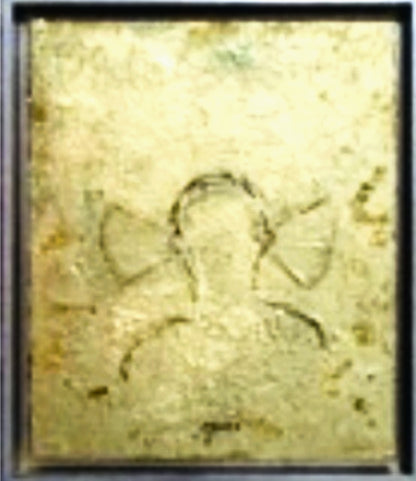 PAPILIO-CAPTEUR image 1